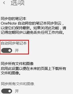 OneNote打开自动同步的方法步骤截图